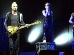 Sting'e Ahmet Kaya teklifi