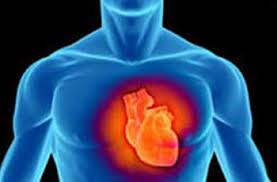 Endokrin sistemi nedir?