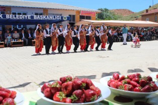 Çilek şenliğinden renkli görüntüler