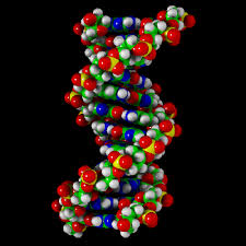 DNA; Ne Varsa Onun İçinde Var