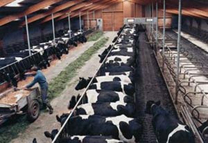 Ereğli'de hayvancılık semineri