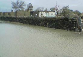 Kutören sele teslim oldu