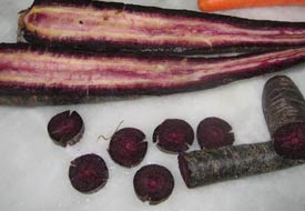 Siyah havuca ilgi arttı