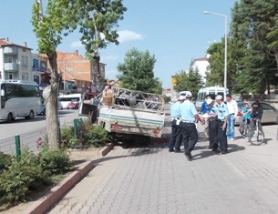 Kamyonet ağaca çarptı: 2 yaralı