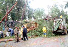 Filipin'deki Tayfun Felaketi