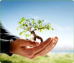 Çevre Üzerine Özel Bir söyleşi…