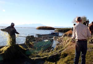 Fırtına Beyşehir'de ağları suya gömdü