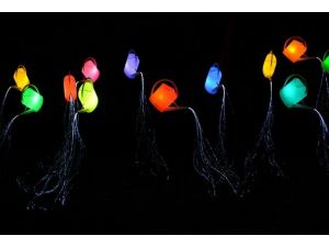 Kudüs'te Işık Festivali