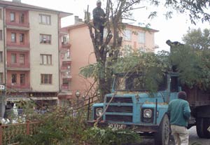 Ereğli'de kış düzenlemesi