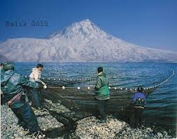 Türkiye'nin En Yüksek Rakımlı Gölü Keşfedilmeyi Bekliyor