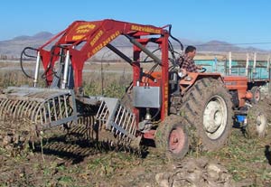 Topraktan kazanıp asfalta yatırıyor