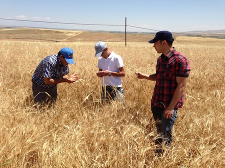 Ereğli’de kımıl ve süneye geçit yok