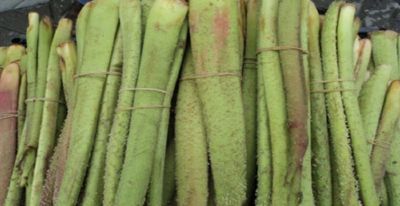 Işkın deyip geçmeyin