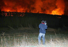 Sazlıklar alev alev yandı