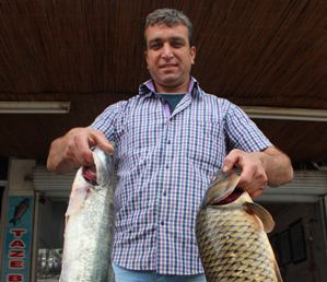 Beyşehir’de balıklar tezgahları süslemeye başladı