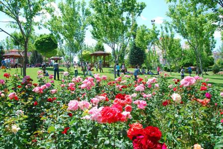 5 büyük park daha!