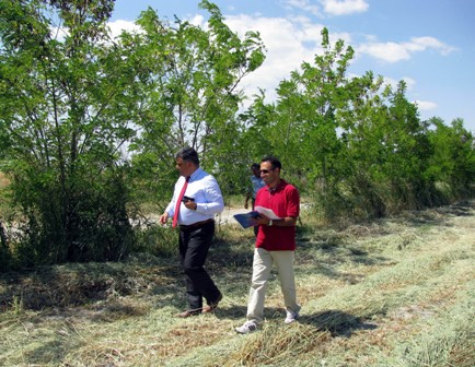 Ereğli’de 300 bin ağaç toprakla buluştu