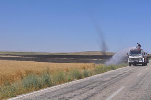 Buğday tarlasında yangın