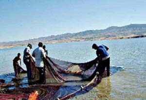 Belde Belediyesi alabalık yetiştirecek