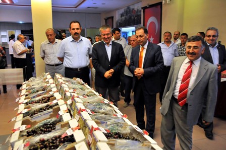 Akşehir kirazı kültür ve sanat festivali başladı