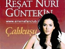 Çalıkuşu Fahriye Evcen oldu