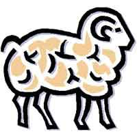 'Ulusal Kurban Girişimi' göreve hazır