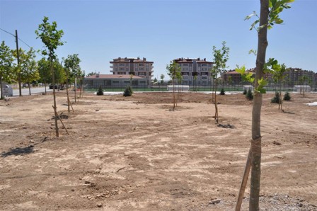Karatay’da spor tesisi ağaçlandırıldı
