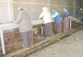 En büyük tesis bu köyde