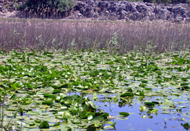 Gölü koruma eylem planı toplantısı