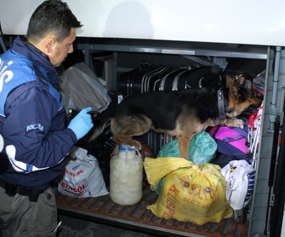 Savaştan kaçan Suriyeli uyuşturucuyla yakalandı