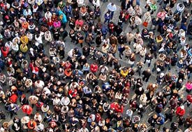 Türk, Kürt, Alevi, Atatürkçülük rakamları