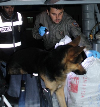 Ares esrar ticaretine izin vermiyor
