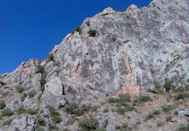 Kayalıklardan düşen çocuk yaralandı