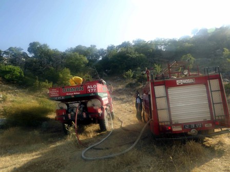 Seydişehir’de ormanlık alan yanmaktan son anda kurtuldu
