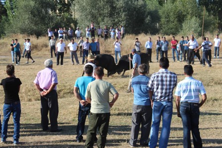 Yeşildağlılar Şenlikte Hasret Giderdi