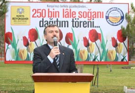 250 bin lale soğanı dağıttılar