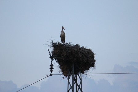 Leylekler vadisi sessizliğe büründü