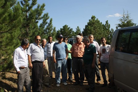 Derbent Aladağ yolunda inceleme