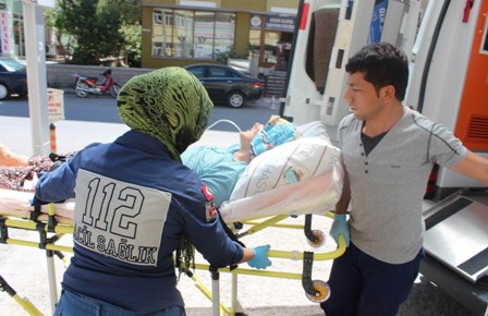 Beyşehir'de arının soktuğu hamile kadın hastanelik oldu