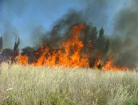 Beyşehir'de samanlık yandı