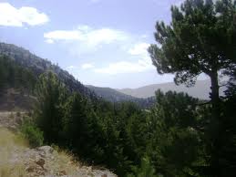 Seydişehir'li Dağcılar Küpe Dağı'na Tırmandı