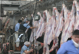 Mezbahada modernizasyon