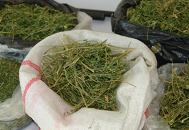 Sarayönü'de uyuşturucu operasyonu