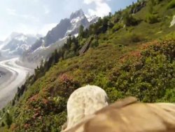 Kartalın gözünden uçuş anı TIKLA İZLE