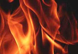 Ereğli Tarım Müdürlüğü'nde yangın