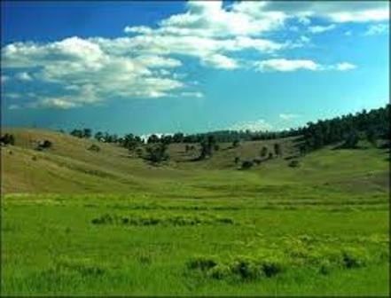 Atlantı'da mera gerginliği tatlıya bağlandı
