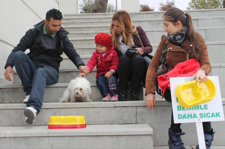 Sokak hayvanlarına mama kabı