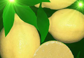 Grip limon fiyatlarını üçe katladı