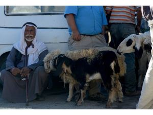 Kudüs kurbana hasret