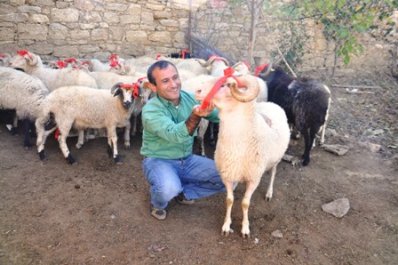 Kınalı koçlarla bayram sevinci